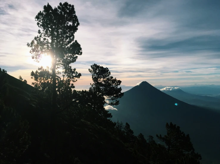 trees are silhouetted against a blue cloudy sky with the sun above