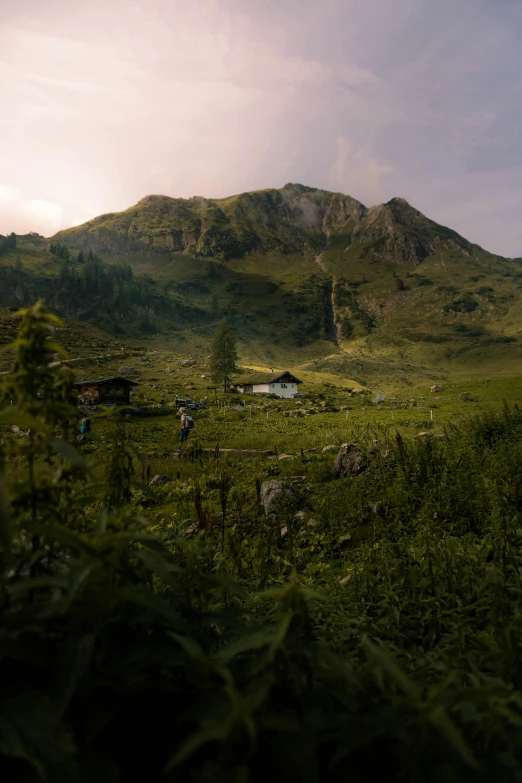 a grassy field with mountains in the background