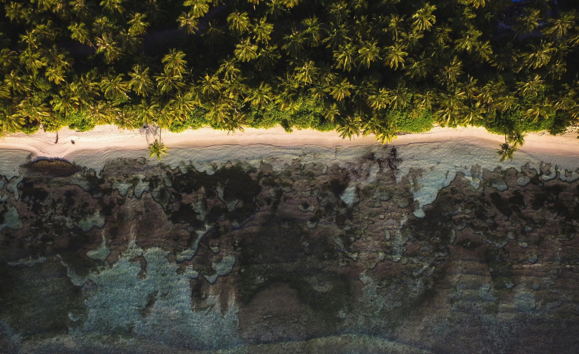 an aerial s of a group of people on the beach