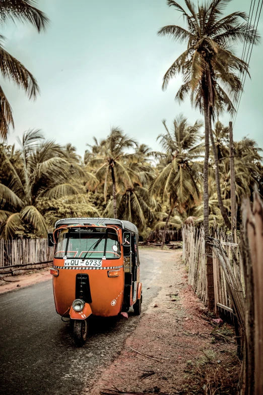 an orange van parked on a road next to some palm trees