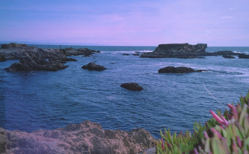 the coast with rocks on it is at night time