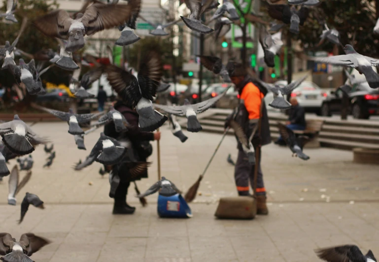 a man standing in the middle of a street filled with pigeons