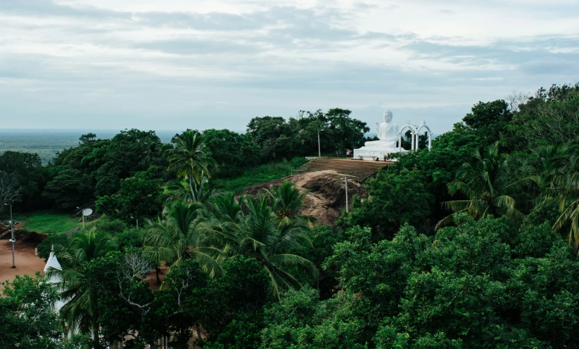 a hill surrounded by trees on the edge of the woods