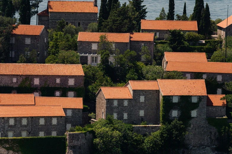 small red tiled roofs stand above a tree - lined hillside