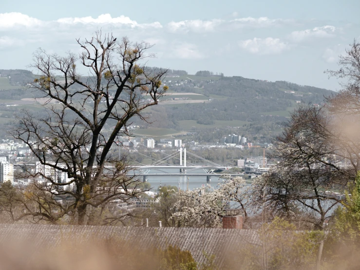 a city with lots of tall buildings and a bridge in the distance