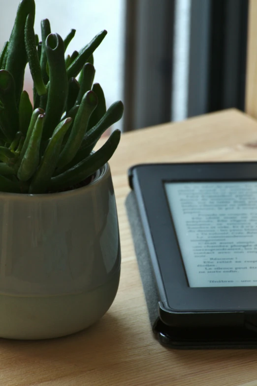 tablet with the keyboard and screen removed sitting next to plant