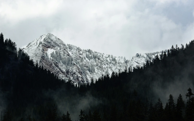 the mountain tops are covered with cloud, as trees sit in front