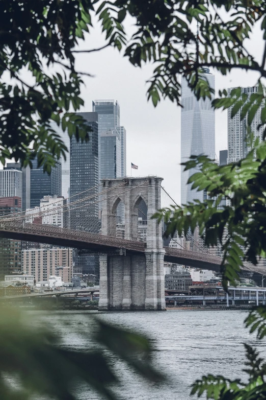 an image of a bridge crossing a body of water