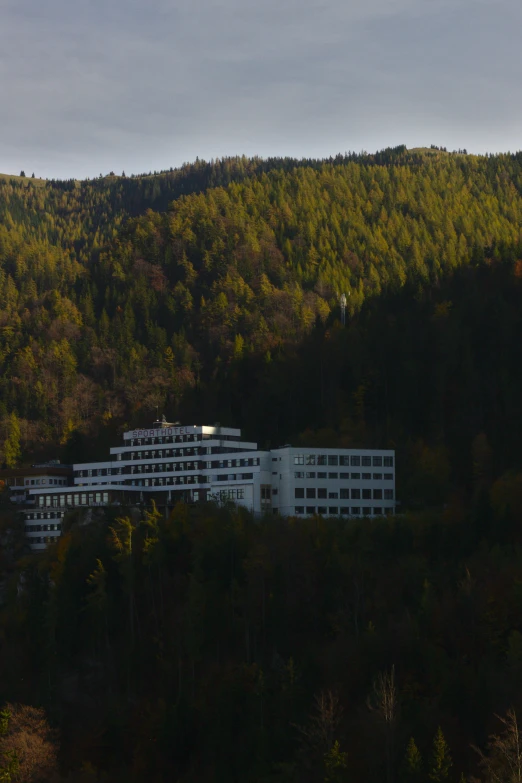 a white building sits between trees and the forest