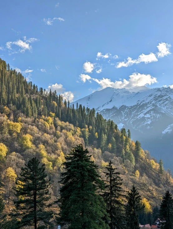 the mountain covered in autumn colored foliage with snow on the top