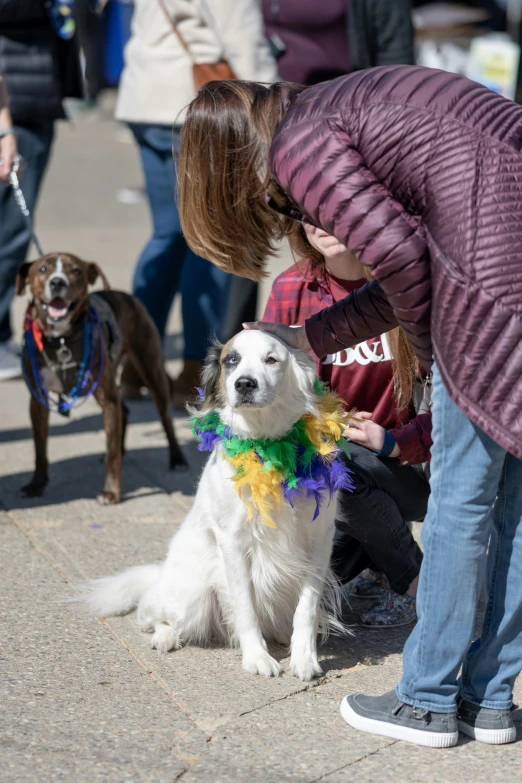 two dogs and one woman sitting by a sidewalk