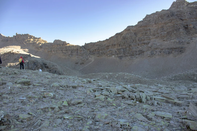 two men on a mountain with their dogs