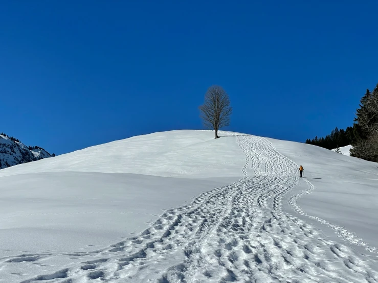 a ski trail of tracks make up the snow