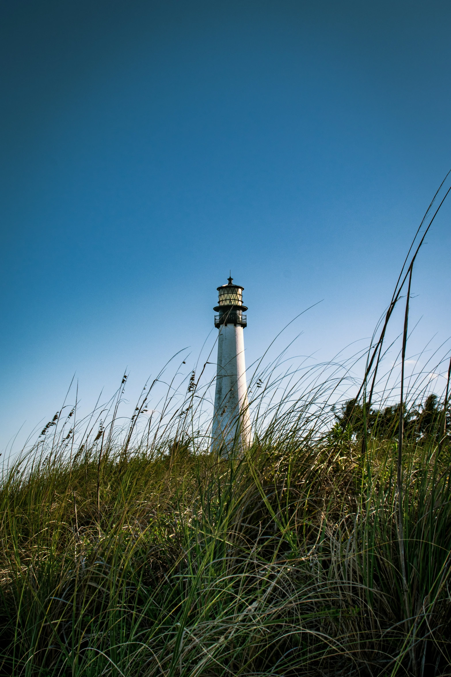 there is a light house in the tall grass