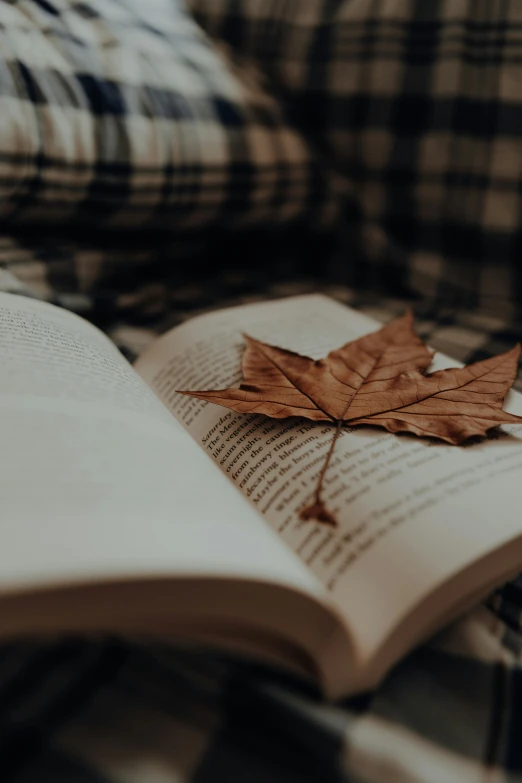 a leaf is placed on top of an open book