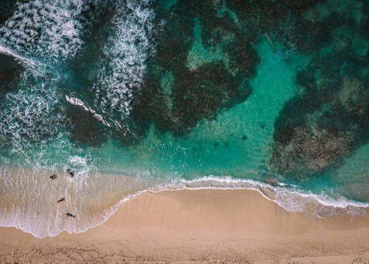 the aerial view of a beach with two surfers