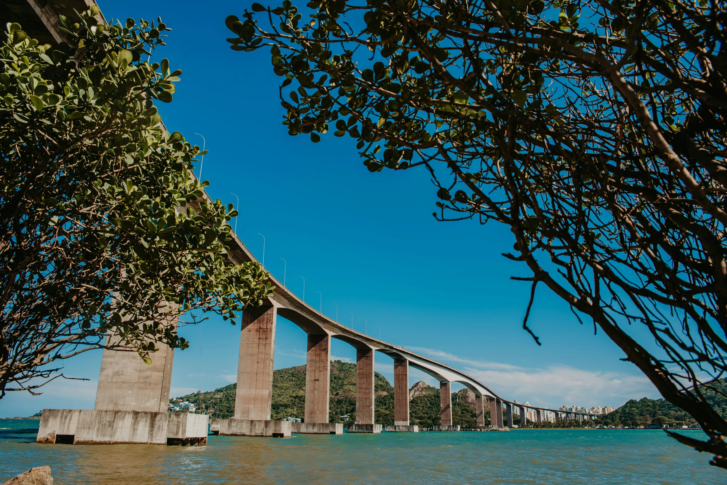 a tall bridge over some water near trees