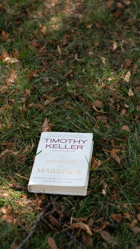 the book is lying on the grass beside leaves