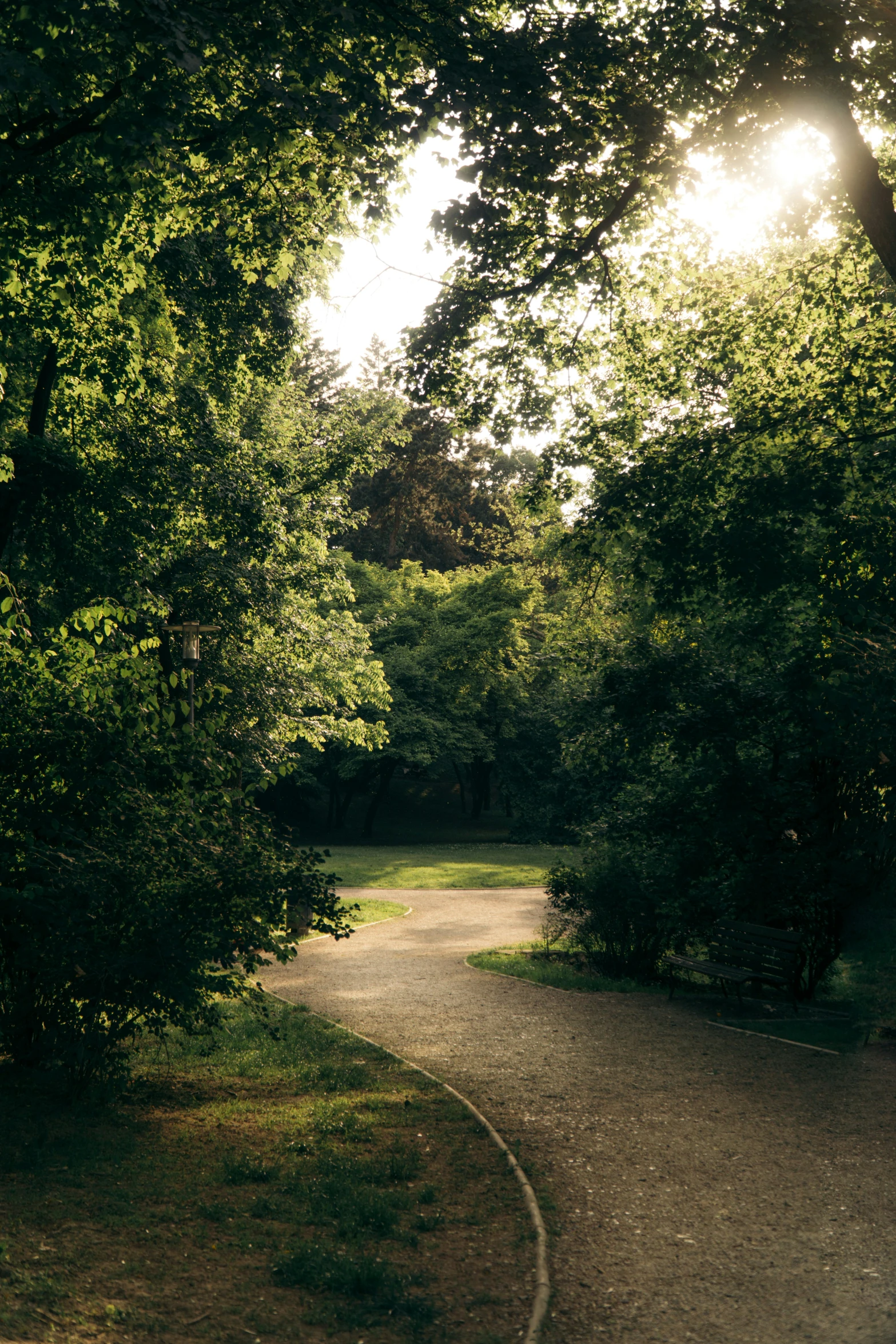 the sun is shining through the trees to a path