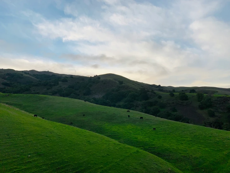 a large field filled with lots of green grass