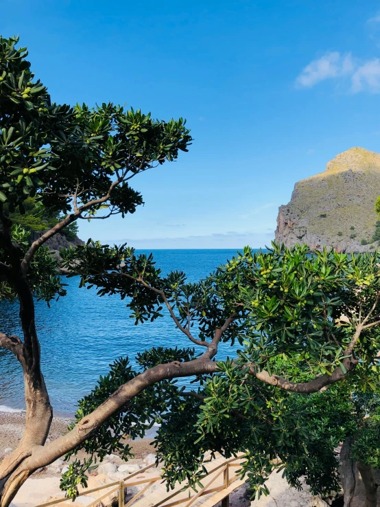 a bench on the beach next to trees