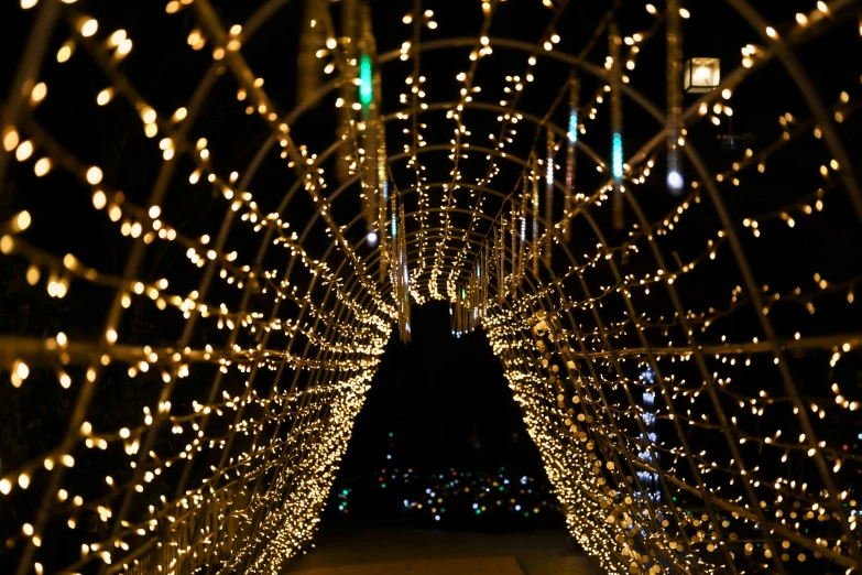 a path of lighted trees is shown at night