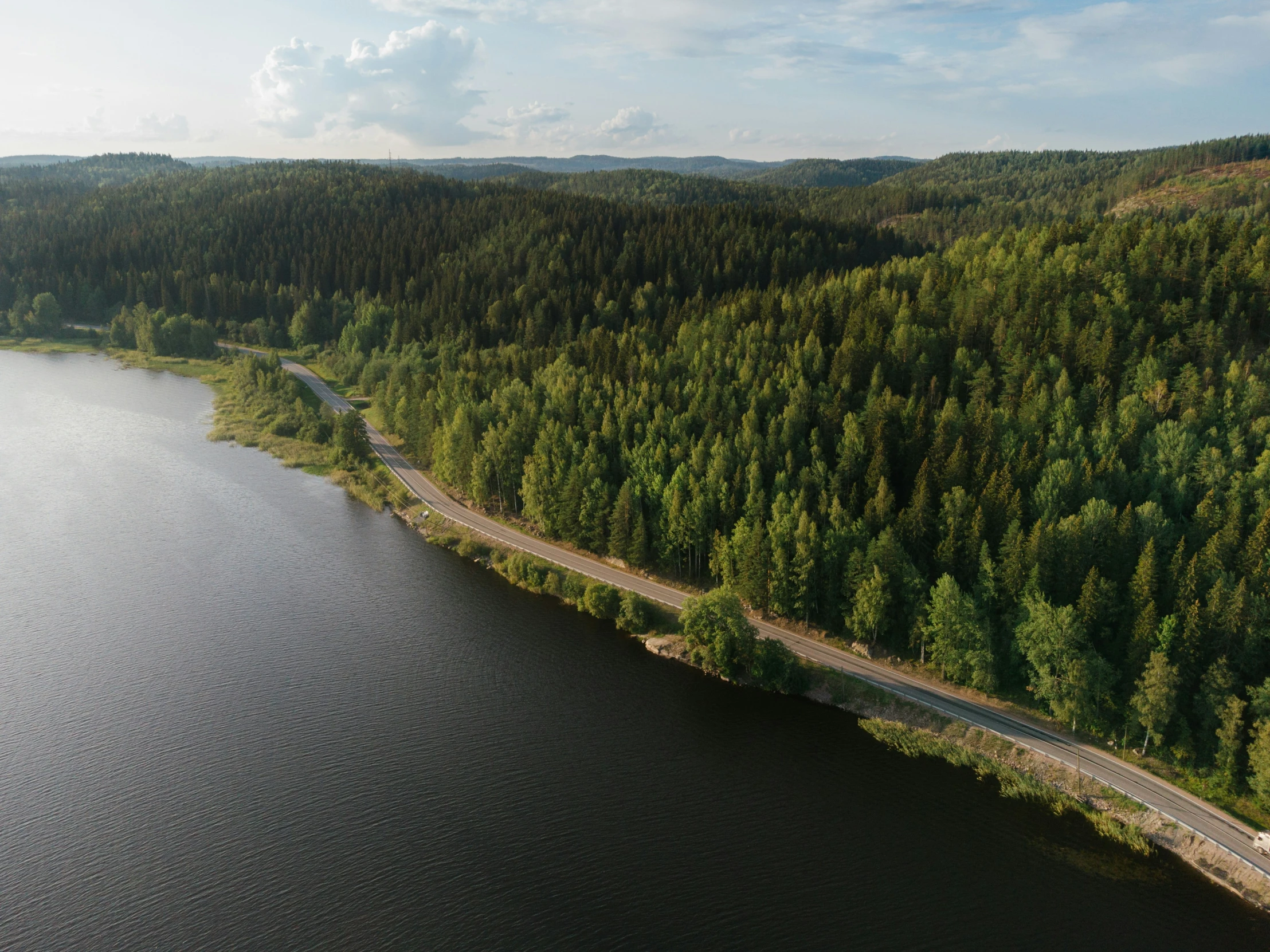 a large body of water surrounded by a forest