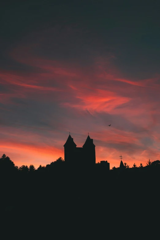 a bird flies in the air while the sun is setting