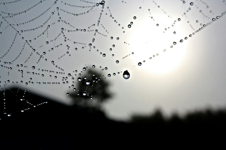 a web spider web with rain drops on it