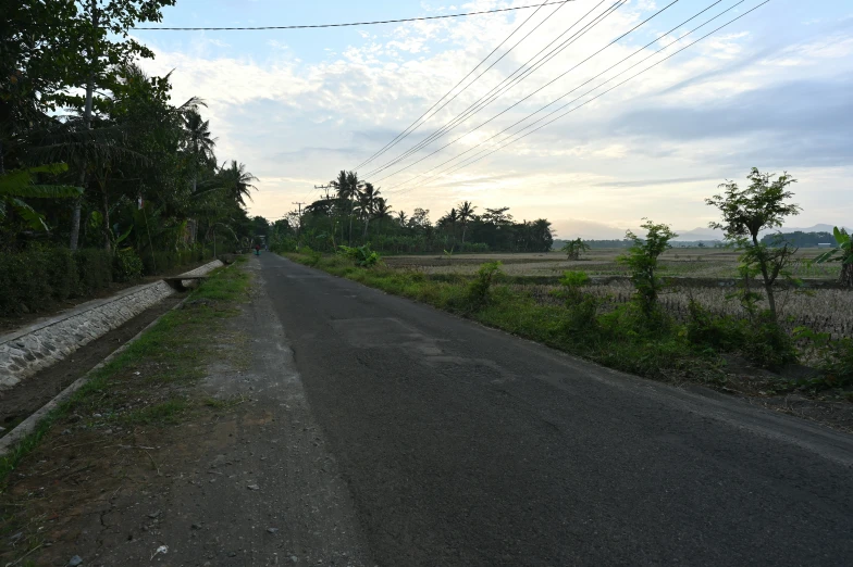 an empty street that is surrounded by many trees