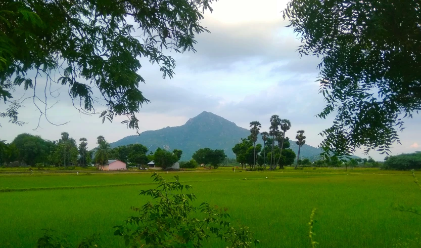 the view of a grassy field in front of a mountain