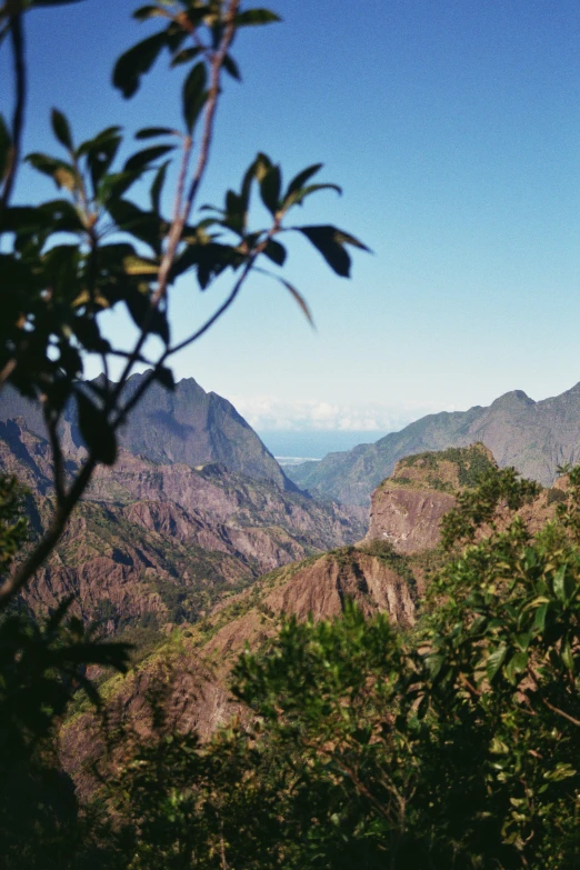 the top of a large mountain with trees surrounding it