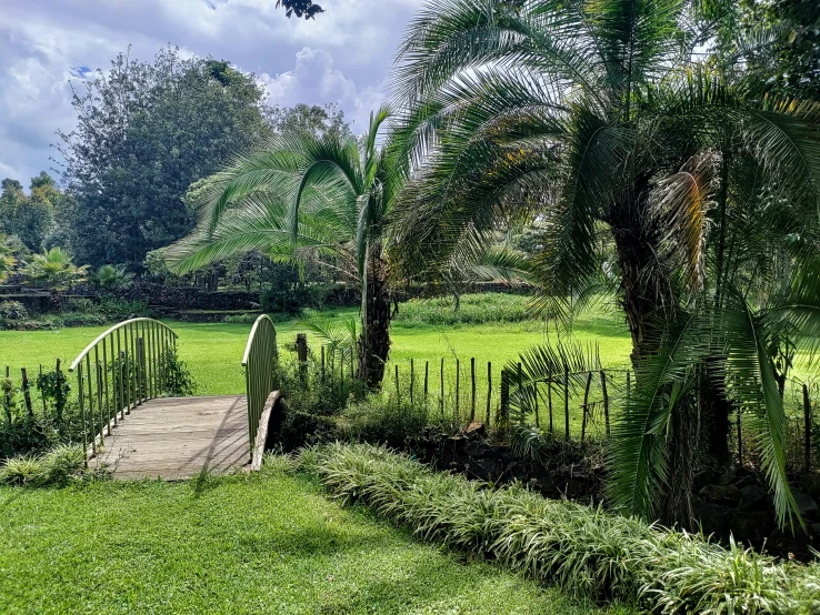 a bridge crosses over a lush green field