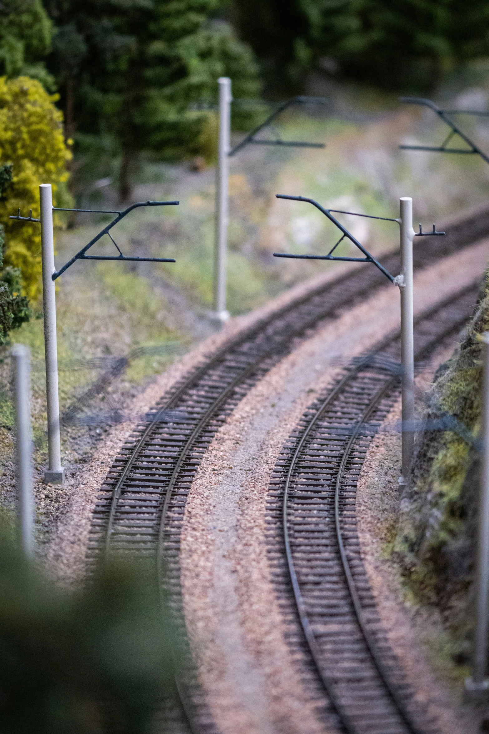 the train tracks are set in a very scenic setting