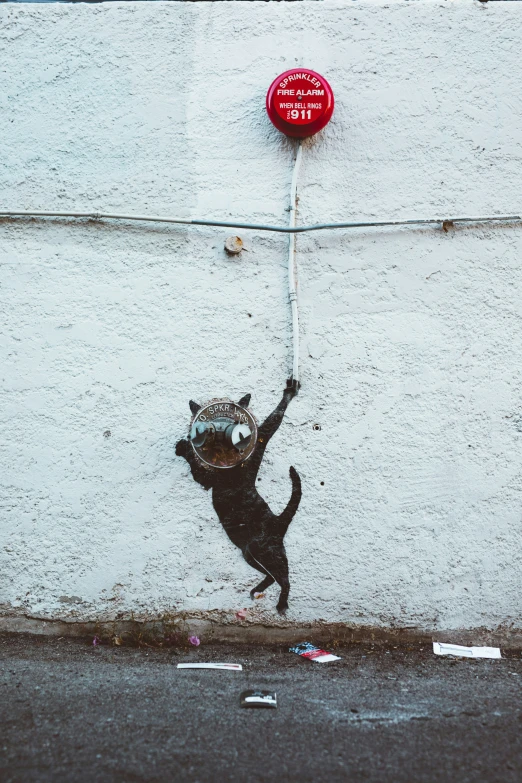 there is a picture of a dog doing tricks on the sidewalk