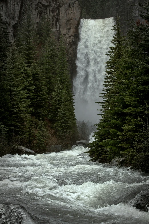 a waterfall surrounded by trees is in the background