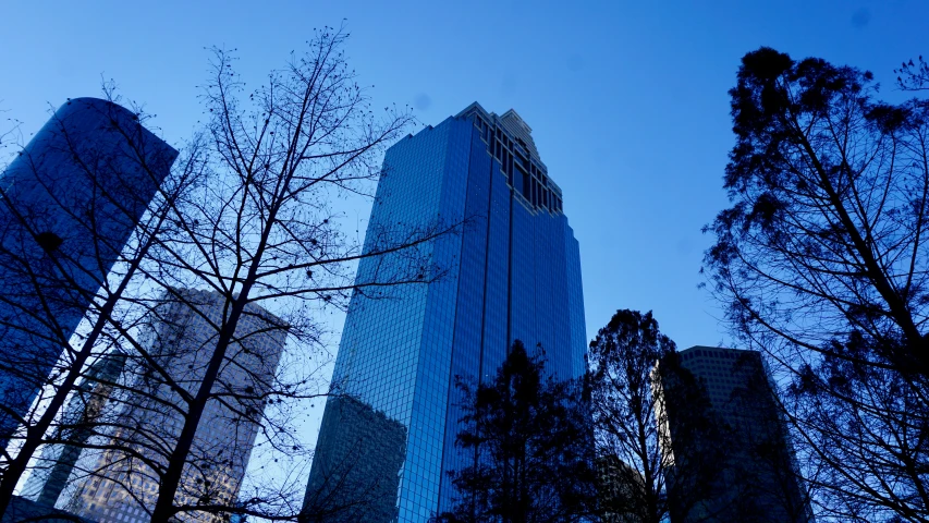 tall buildings with trees against the clear sky