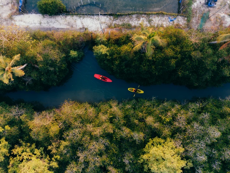 a red canoe rests in a river surrounded by green trees