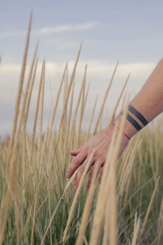 someone is holding their hand out over some tall grass