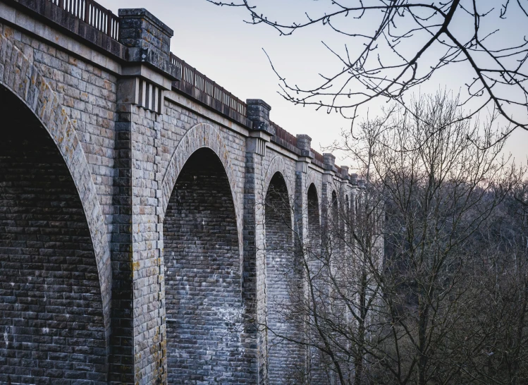 an arched bridge is built along a small pond