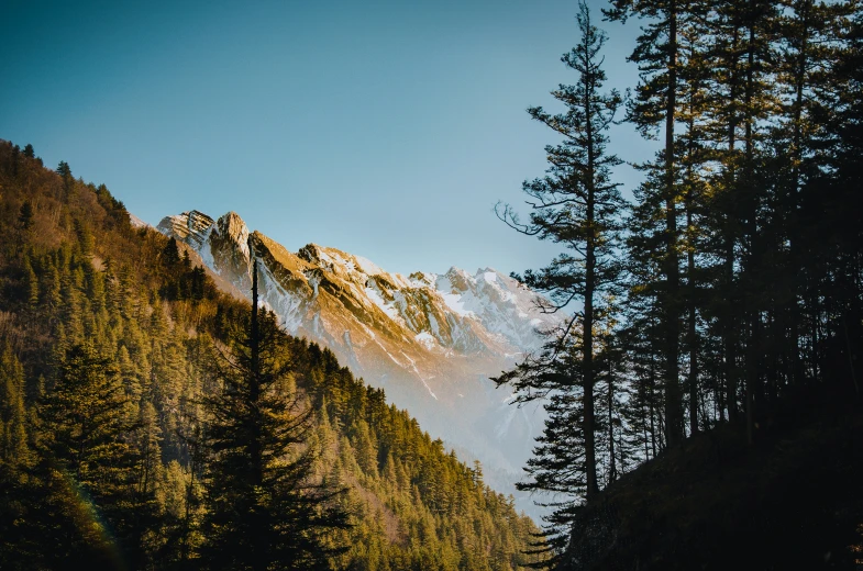 the view from below a tree lined mountain range