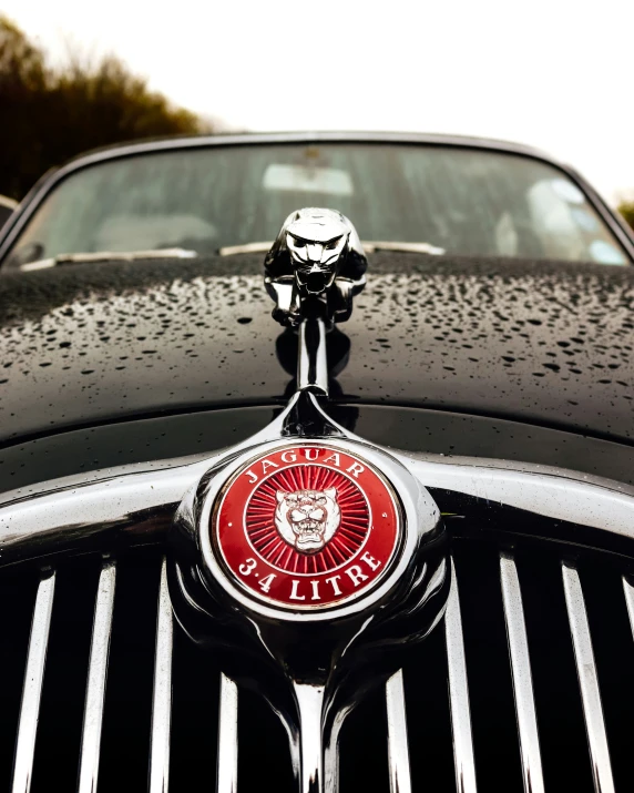 the front grill of a car with a chrome badge and emblem