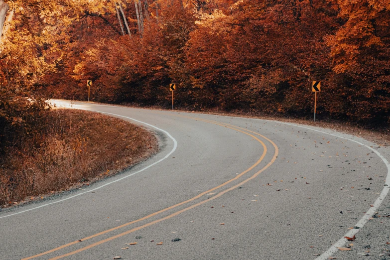 a curved road winding through a forest in the fall