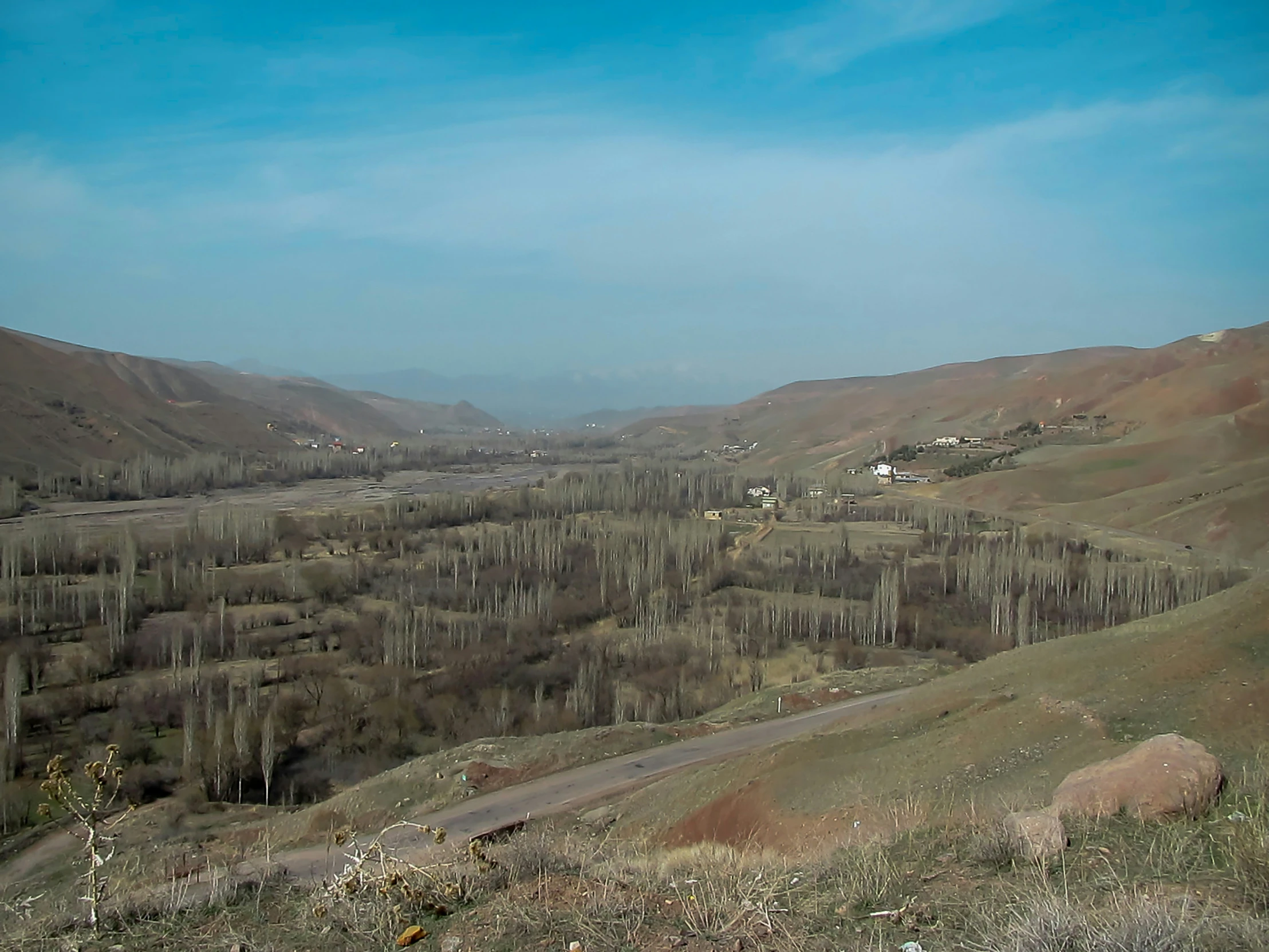 view of a forested area with mountains in the background