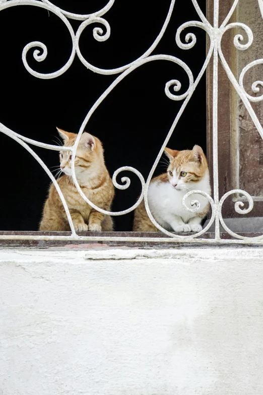 two cats sit on the window sill of an old house