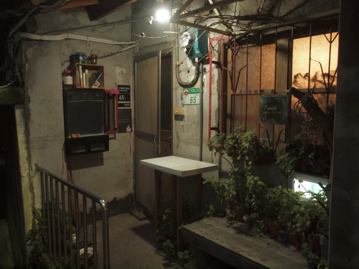 a room filled with plants and hanging lights