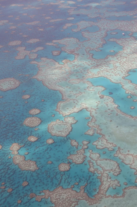 aerial view of an area with blue water and landforms