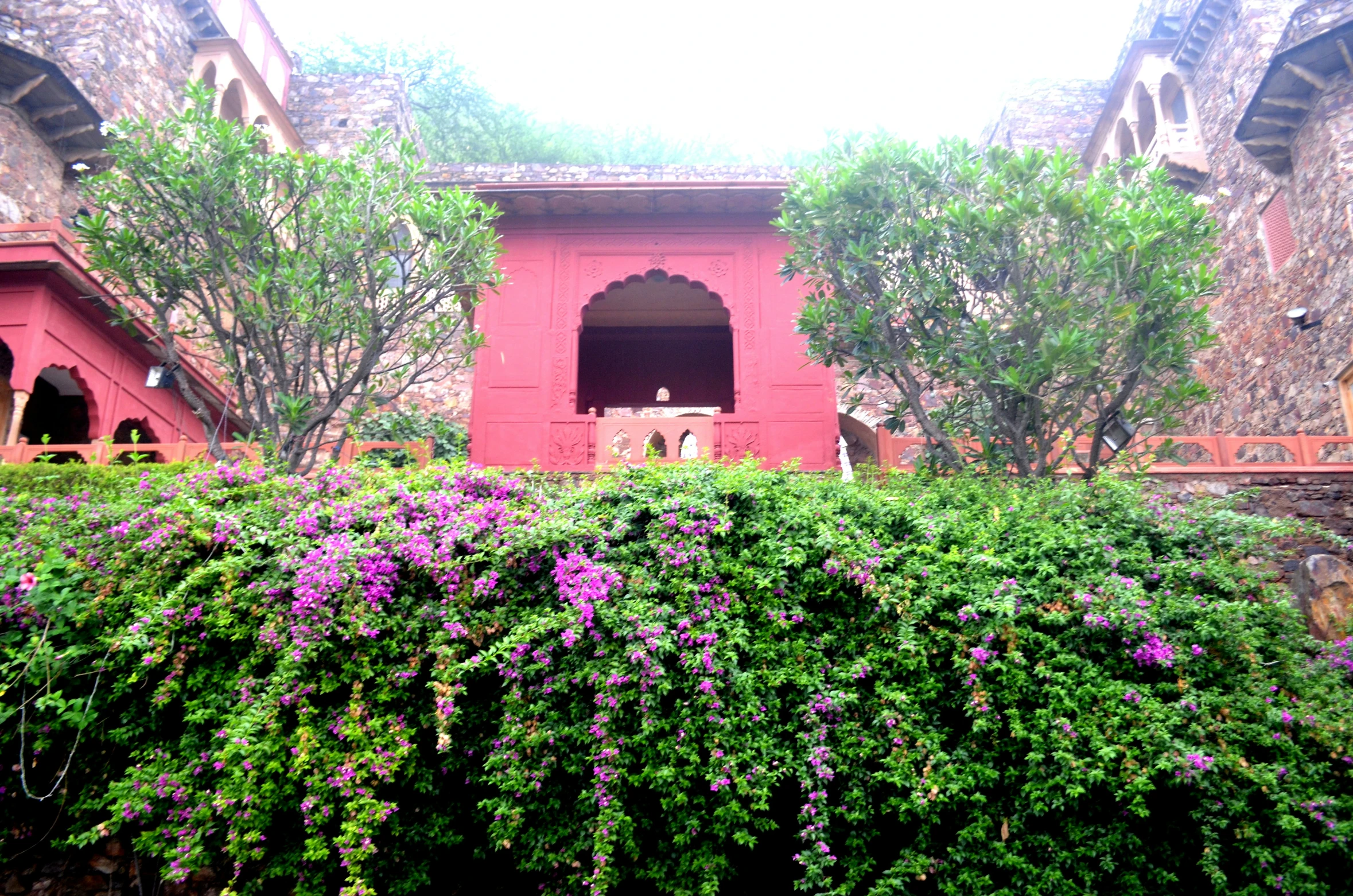 flowering trees and shrubs at the end of a building