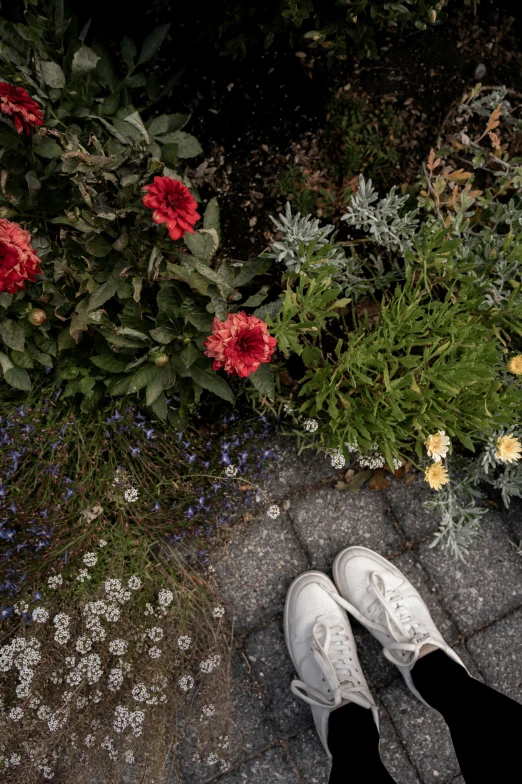 someone in white sneakers is standing by flowers