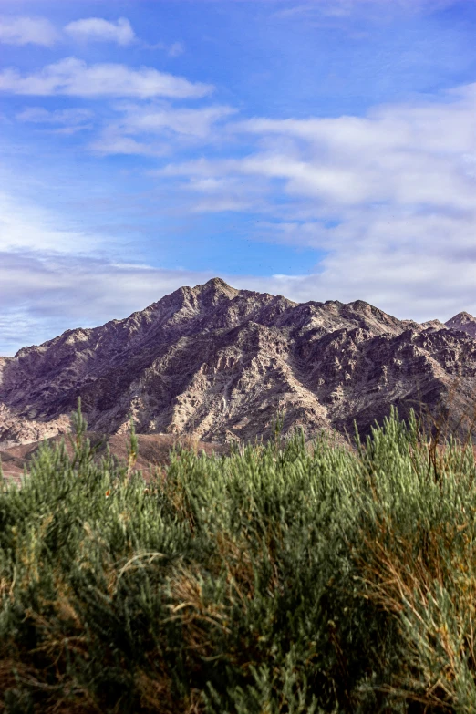 mountains with trees around them under a blue cloudy sky